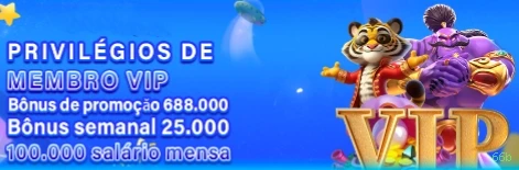 Sobre o 66b